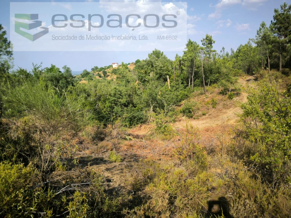 Terreno Agricola ou Rústico para Venda em Sarzedas Foto 2