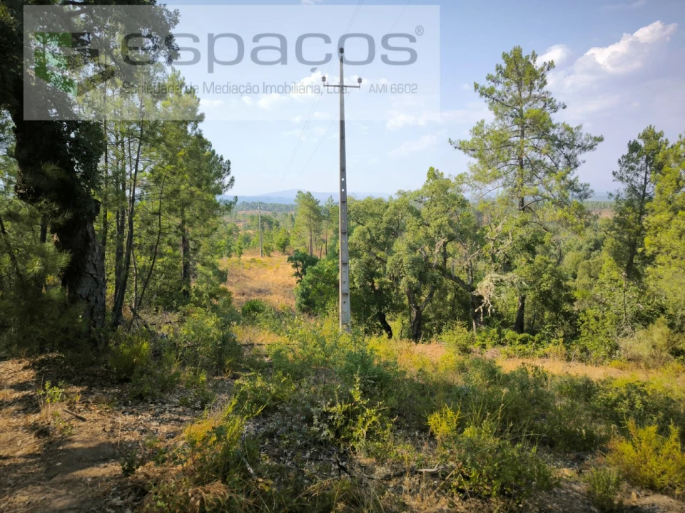 Terreno Agricola ou Rústico para Venda em Sarzedas Foto 4