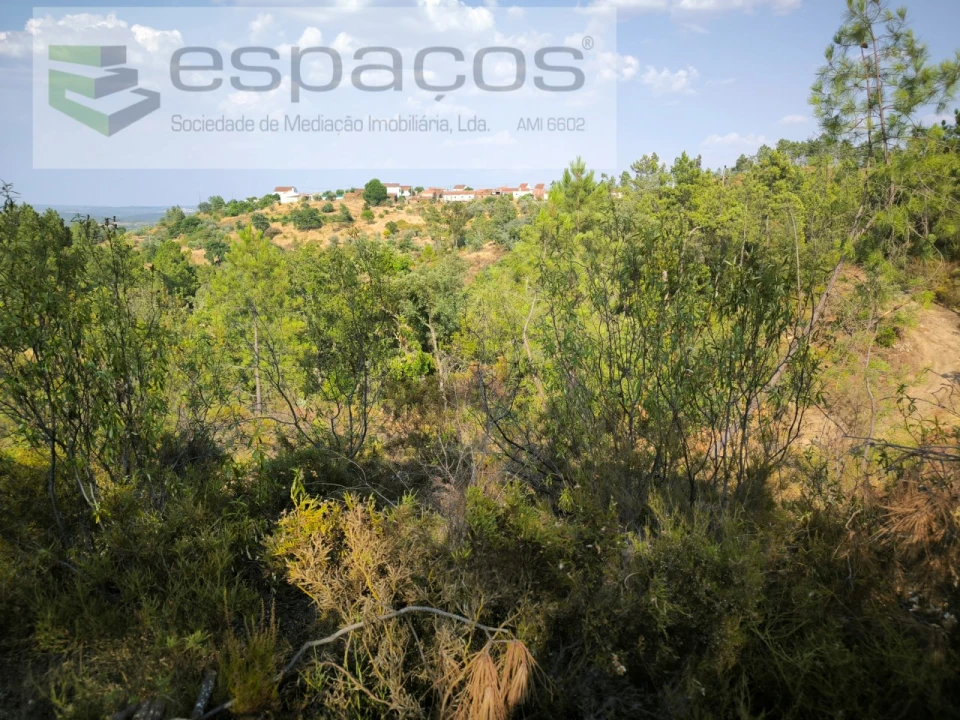 Terreno Agricola ou Rústico para Venda em Sarzedas Foto 6