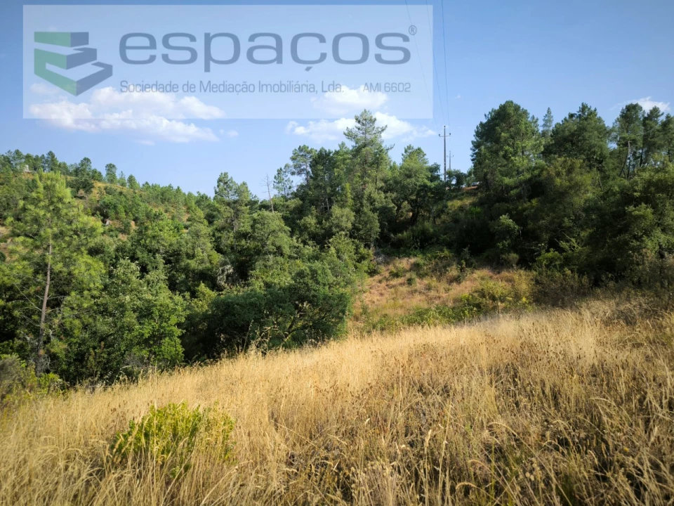 Terreno Agricola ou Rústico para Venda em Sarzedas Foto 7
