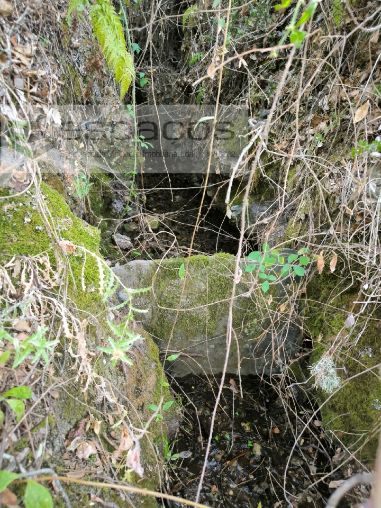 Terreno Agricola ou Rústico para Venda em Sarzedas Foto 13