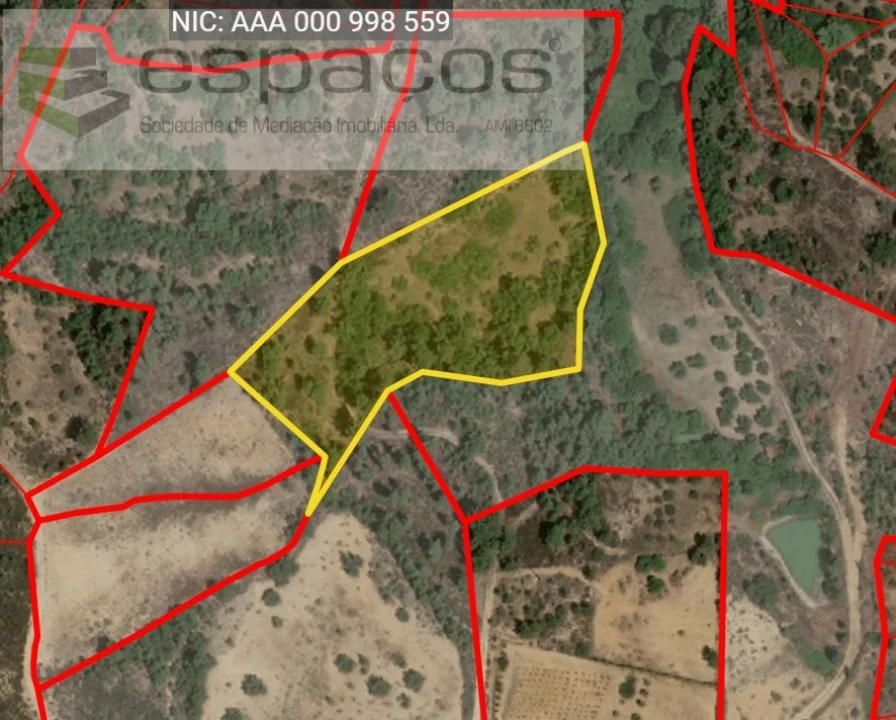 Terreno Agricola ou Rústico para Venda em Sarzedas Foto 17