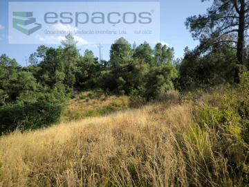 Terreno Agricola ou Rústico para Venda em Sarzedas