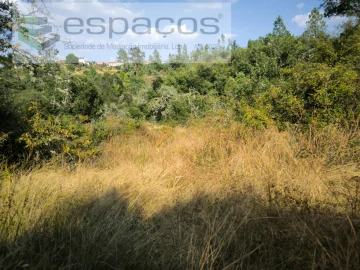 Terreno Agricola ou Rústico para Venda em Sarzedas