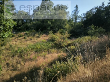 Terreno Agricola ou Rústico para Venda em Sarzedas