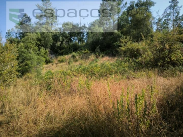 Terreno Agricola ou Rústico para Venda em Sarzedas