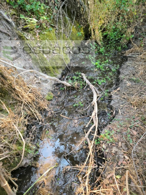 Terreno Agricola ou Rústico para Venda em Sarzedas