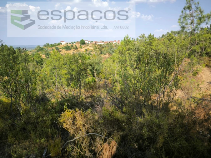 Terreno Agricola ou Rústico para Venda em Sarzedas Foto 6