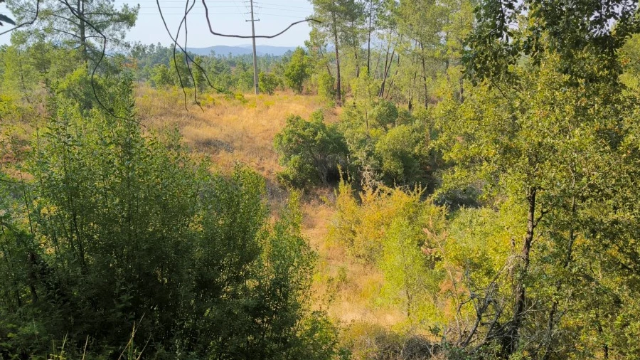 Terreno Agricola ou Rústico para Venda em Sarzedas