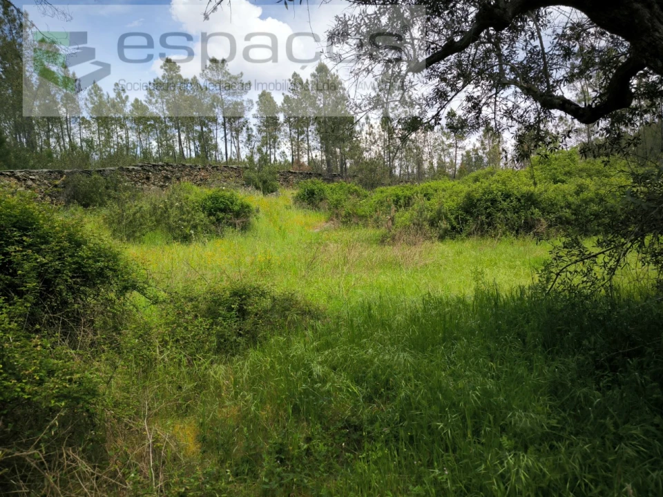 Terreno Agricola ou Rústico para Venda em Sarzedas Foto 1