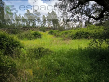 Terreno Agricola ou Rústico para Venda em Sarzedas