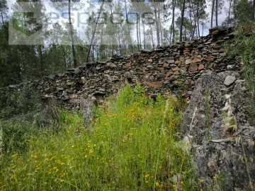 Terreno Agricola ou Rústico para Venda em Sarzedas