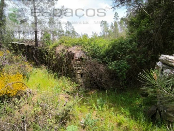 Terreno Agricola ou Rústico para Venda em Sarzedas