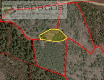 Terreno Agricola ou Rústico para Venda em Sarzedas