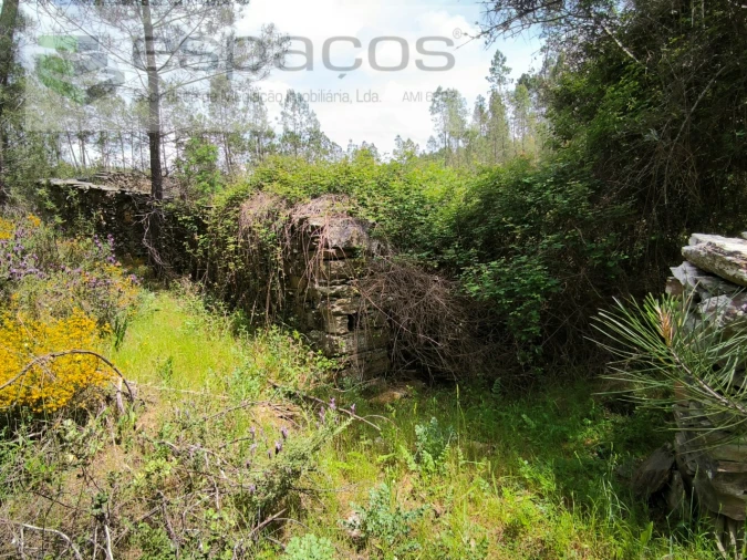 Terreno Agricola ou Rústico para Venda em Sarzedas Foto 6