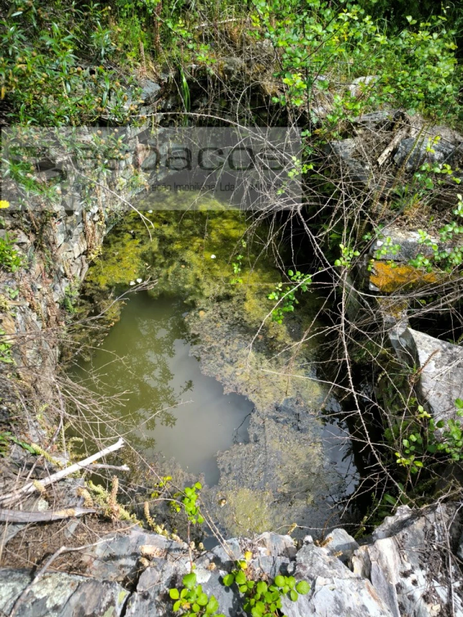 Terreno Agricola ou Rústico para Venda em Sarzedas Foto 7