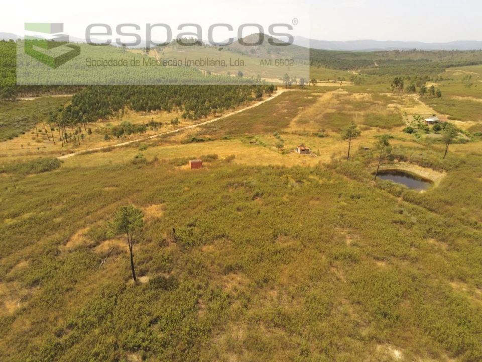 Terreno Agricola ou Rústico para Venda em Freixial e Juncal do Campo Foto 3