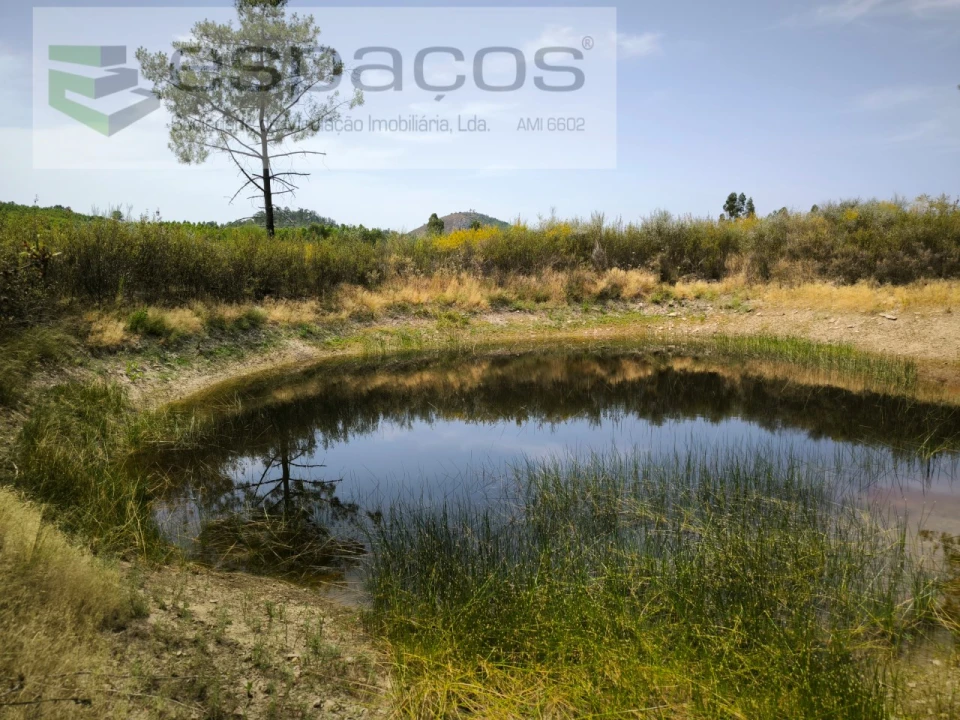 Terreno Agricola ou Rústico para Venda em Freixial e Juncal do Campo Foto 1