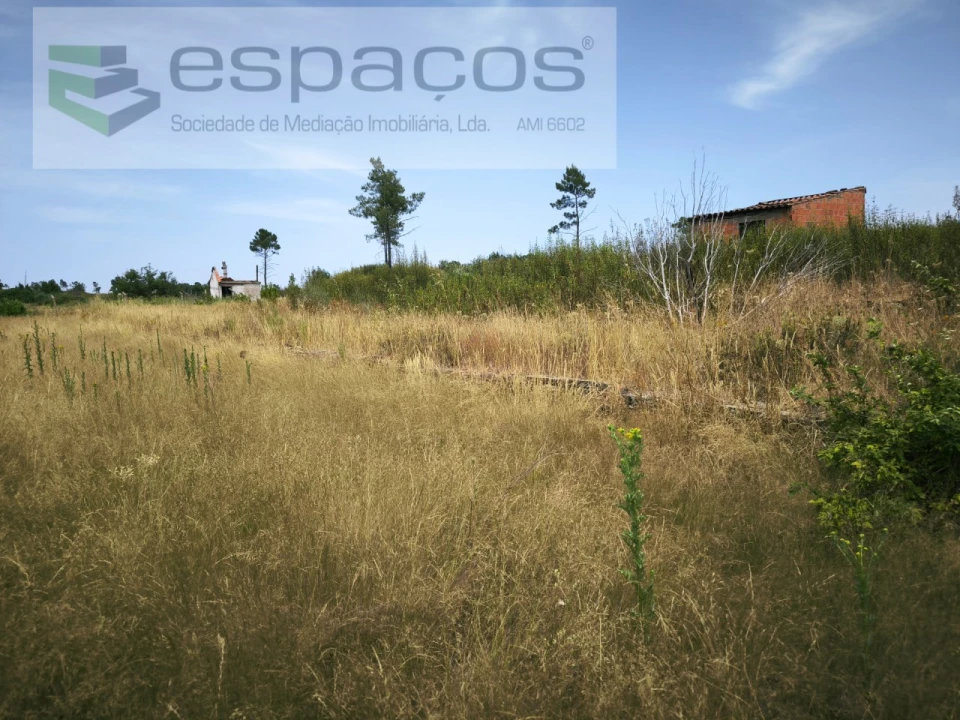 Terreno Agricola ou Rústico para Venda em Freixial e Juncal do Campo Foto 9