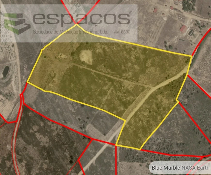 Terreno Agricola ou Rústico para Venda em Freixial e Juncal do Campo Foto 12