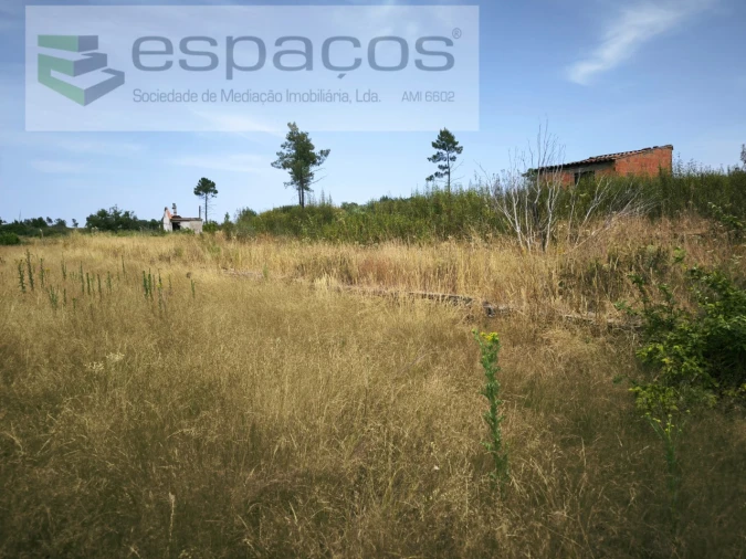 Terreno Agricola ou Rústico para Venda em Freixial e Juncal do Campo Foto 9