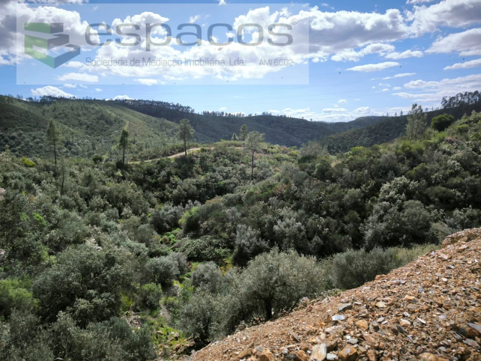 Terreno Agricola ou Rústico para Venda em Sarzedas Foto 1