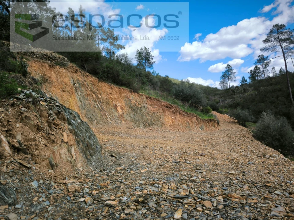 Terreno Agricola ou Rústico para Venda em Sarzedas Foto 2