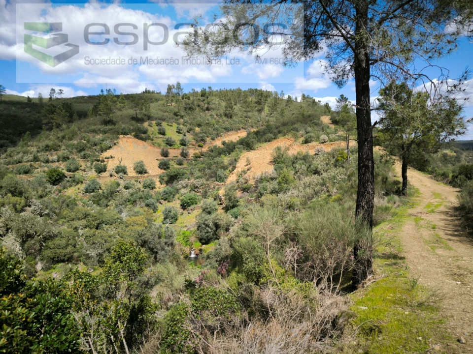 Terreno Agricola ou Rústico para Venda em Sarzedas Foto 3