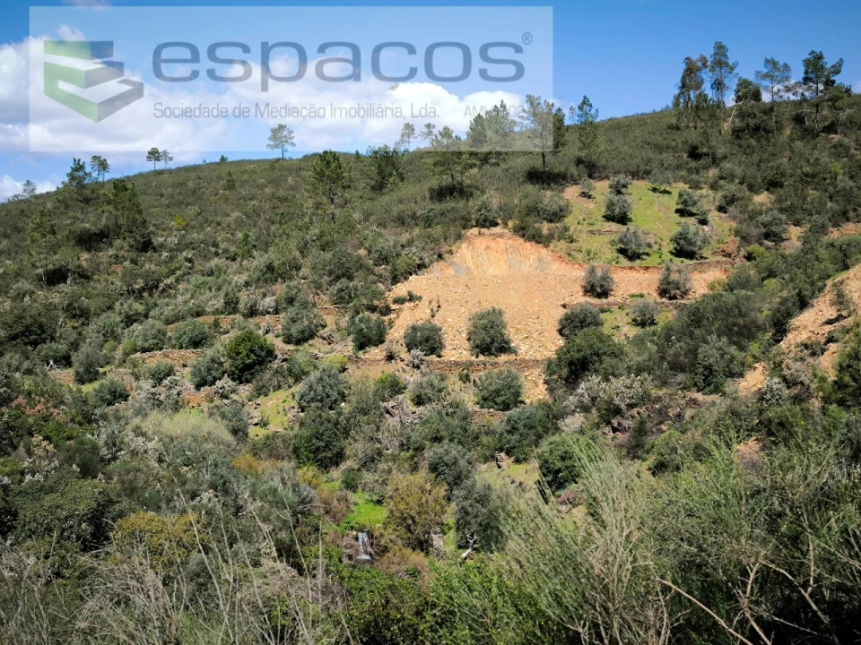 Terreno Agricola ou Rústico para Venda em Sarzedas Foto 4