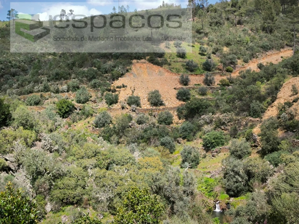 Terreno Agricola ou Rústico para Venda em Sarzedas Foto 5