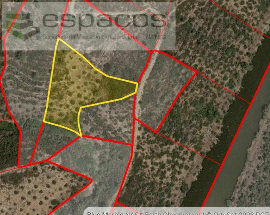 Terreno Agricola ou Rústico para Venda em Sarzedas Foto 6