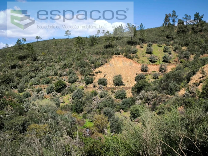 Terreno Agricola ou Rústico para Venda em Sarzedas Foto 4