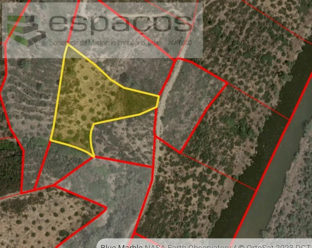 Terreno Agricola ou Rústico para Venda em Sarzedas Foto 6