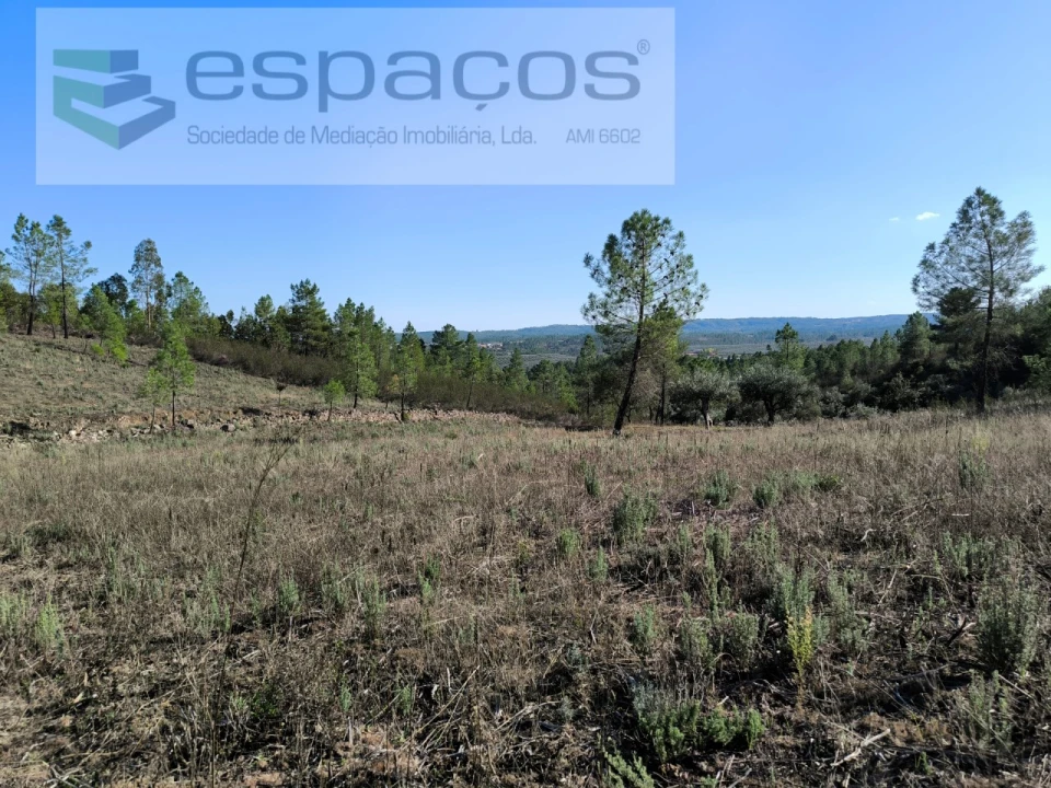 Terreno Agricola ou Rústico para Venda em Sarzedas Foto 3