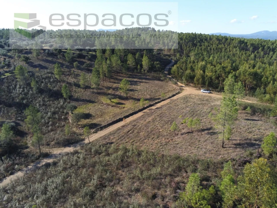 Terreno Agricola ou Rústico para Venda em Sarzedas Foto 12