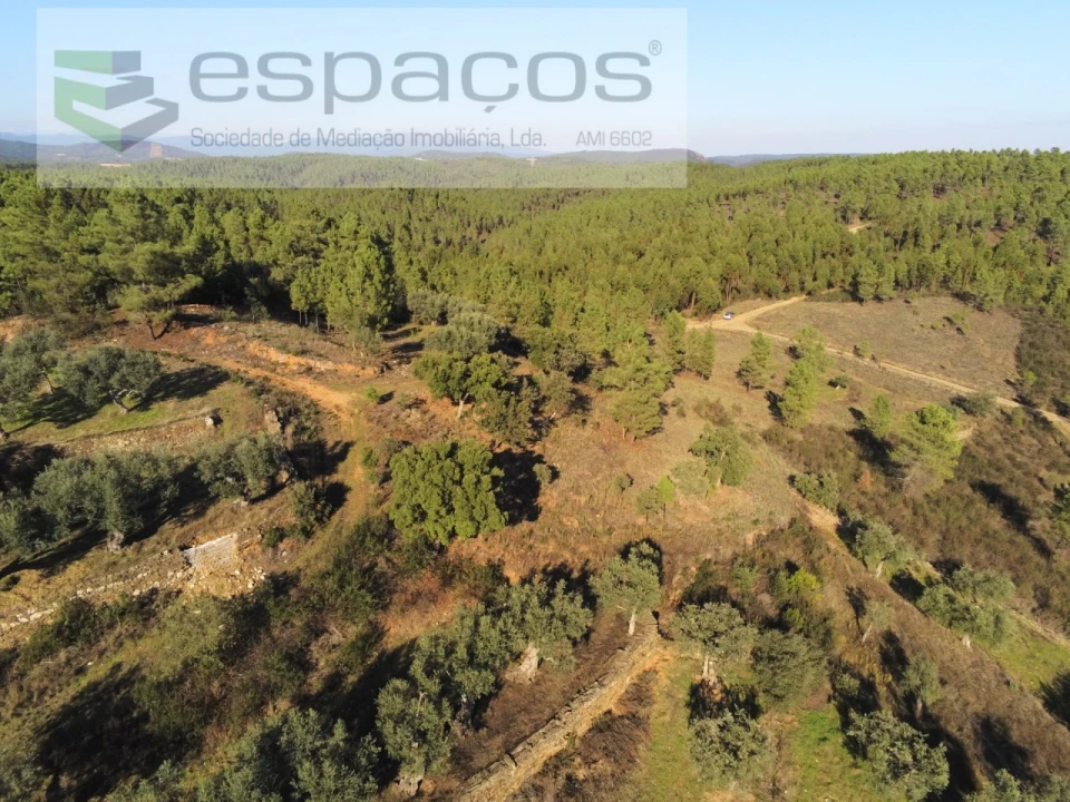 Terreno Agricola ou Rústico para Venda em Sarzedas Foto 14