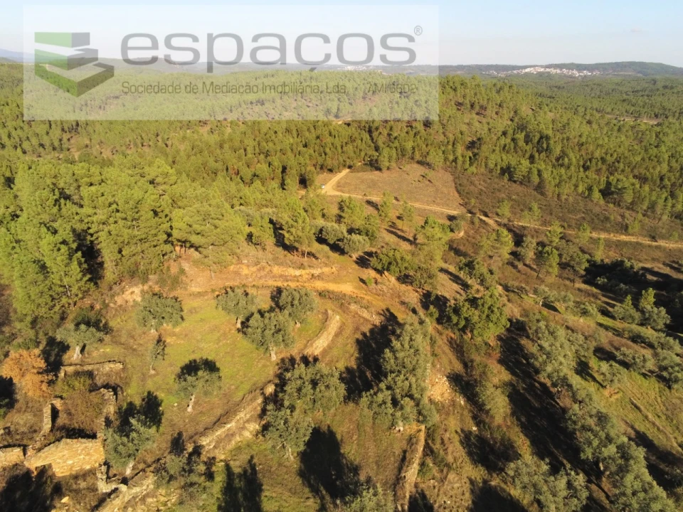 Terreno Agricola ou Rústico para Venda em Sarzedas Foto 15