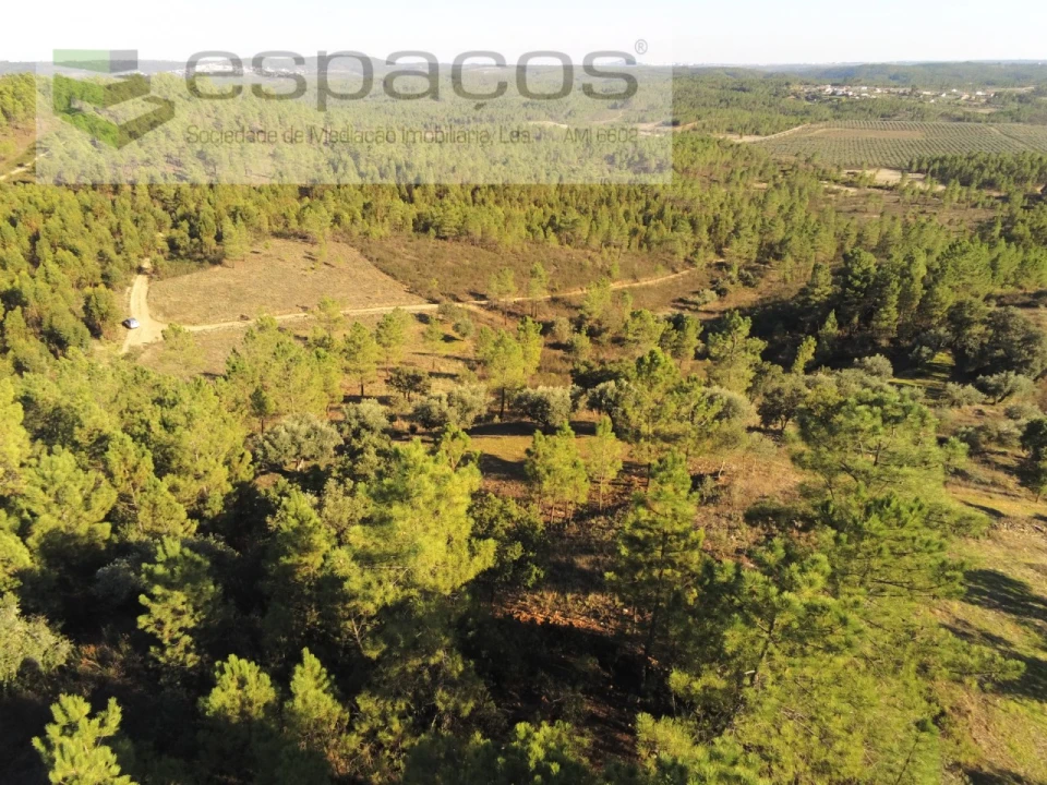 Terreno Agricola ou Rústico para Venda em Sarzedas Foto 16
