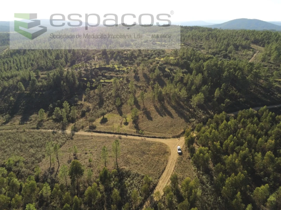 Terreno Agricola ou Rústico para Venda em Sarzedas Foto 2