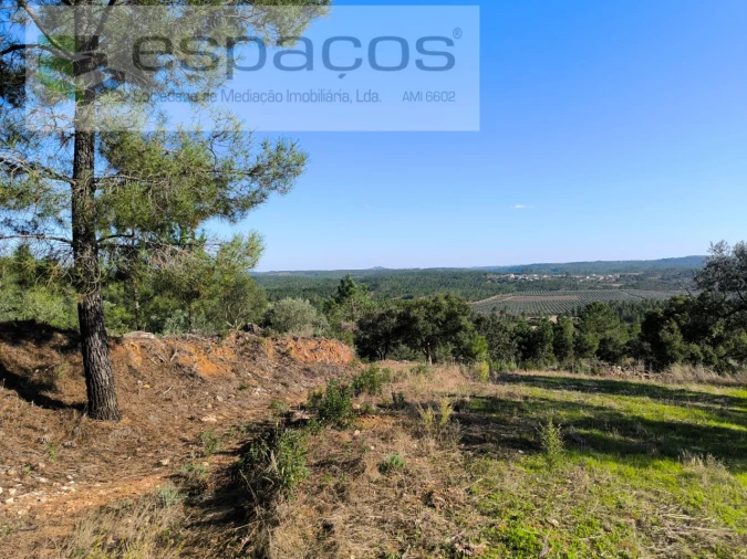 Terreno Agricola ou Rústico para Venda em Sarzedas Foto 6