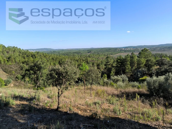 Terreno Agricola ou Rústico para Venda em Sarzedas Foto 7
