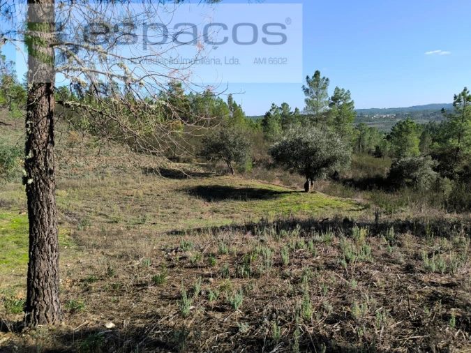 Terreno Agricola ou Rústico para Venda em Sarzedas Foto 8