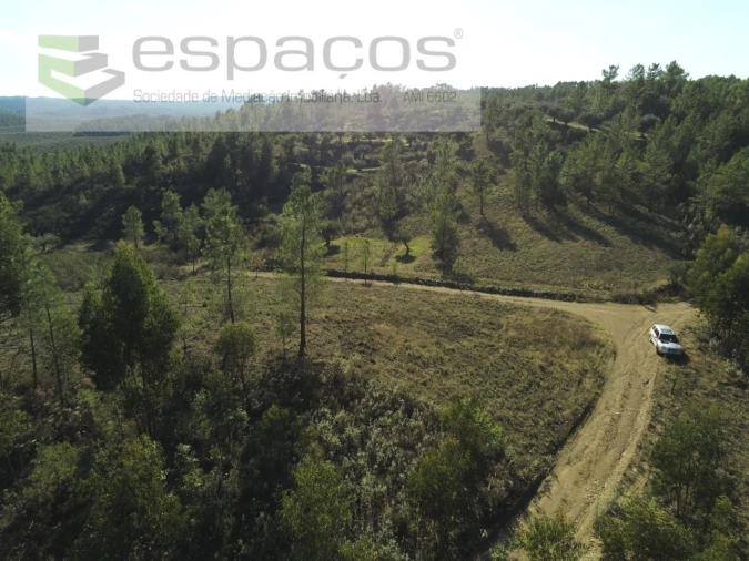 Terreno Agricola ou Rústico para Venda em Sarzedas Foto 10