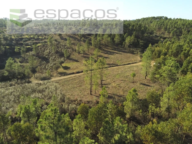 Terreno Agricola ou Rústico para Venda em Sarzedas Foto 11