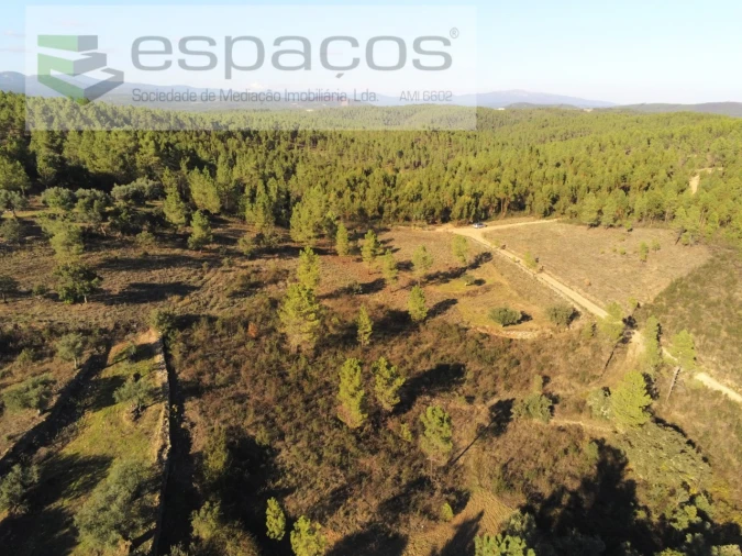 Terreno Agricola ou Rústico para Venda em Sarzedas Foto 13