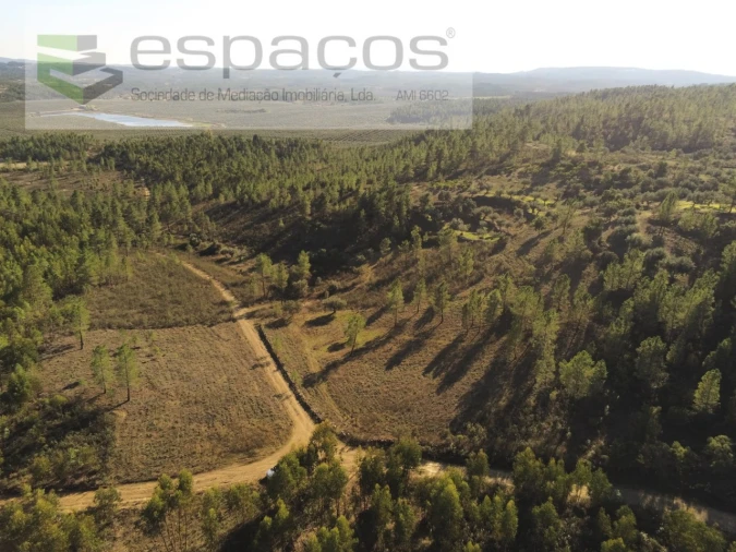 Terreno Agricola ou Rústico para Venda em Sarzedas Foto 18