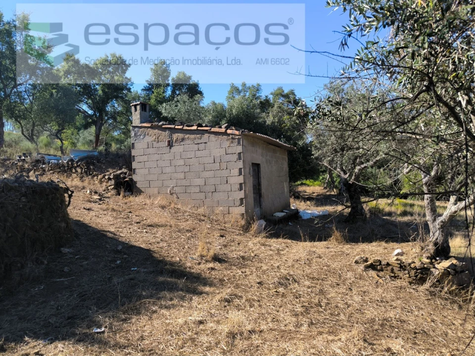 Quinta para Venda em Ninho do Açor e Sobral do Campo Foto 2