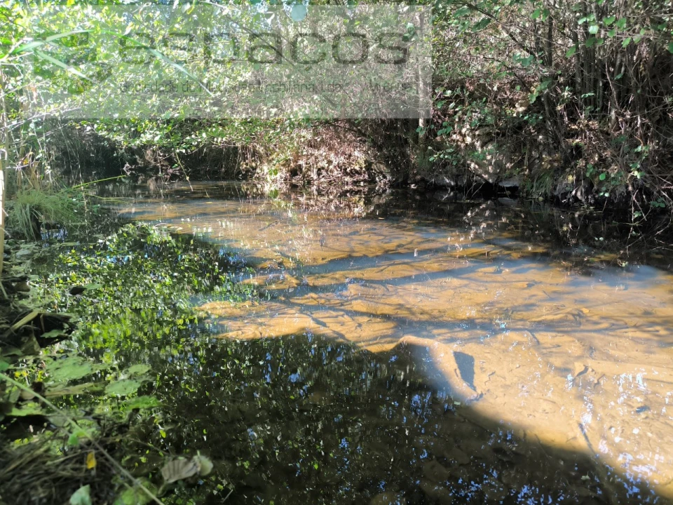 Quinta para Venda em Ninho do Açor e Sobral do Campo Foto 4