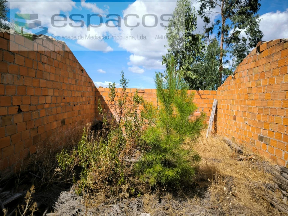 Quinta para Venda em Sarzedas Foto 13