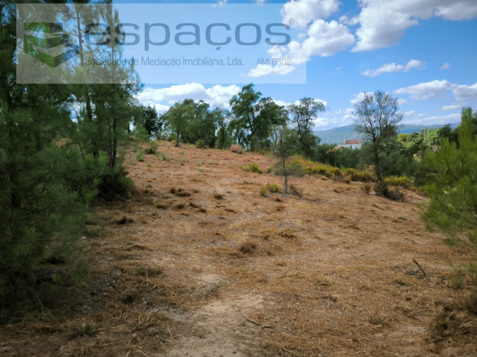 Quinta para Venda em Sarzedas Foto 19